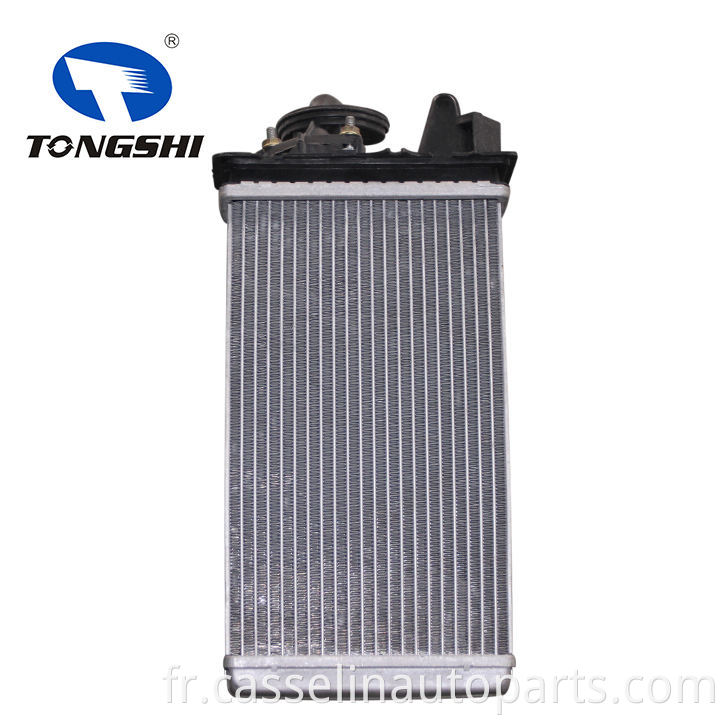 Chine Manufacturing aluminium Carater Core for Fiat Tempra (159) (90-98) OEM 7754065